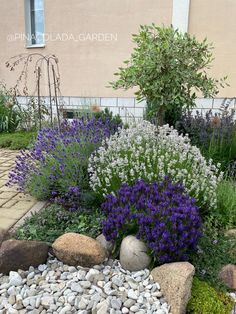 a garden with rocks and flowers in it