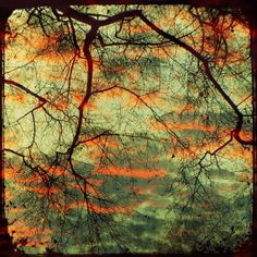 the sky and trees are reflected in the water at sunset or sunrise, as seen from below