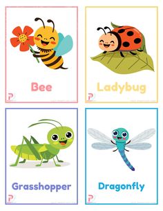 Insects Flashcards Free Printable Bugs Flashcards, Body Parts Preschool, Bug Activities, Kindergarten Math Worksheets Free, Insects Preschool, Animal Flashcards, Baby Learning Activities, Flashcards For Kids