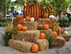 pumpkins and gourds are arranged on hay bales in an outdoor setting