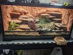 a fish tank filled with plants and rocks in the middle of a shelf next to other items