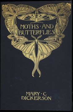 the front cover of moths and butterflies by mary c dickerson, with gold lettering