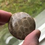 a hand holding a rock in front of a window sill with grass and trees behind it