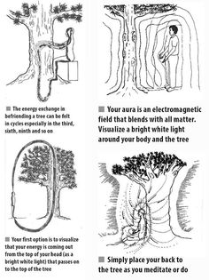 Reverend Crystal Cox Universal Church of Light: The Healing Abilities of Trees Energy Healing Spirituality, Spirituality Energy, Spiritual Healing, Spell Book, Sanskrit