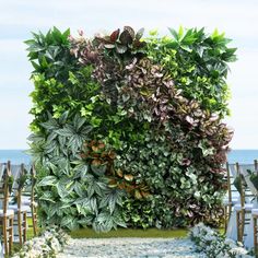 a living wall made out of plants on the side of a building near the ocean