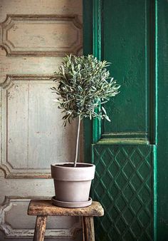 a small potted plant sitting on top of a wooden stool in front of a green door