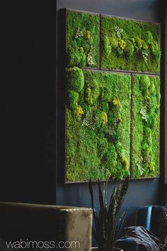 a living room with green moss on the wall