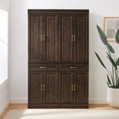 a tall wooden cabinet next to a potted plant in a room with white walls