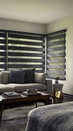 a living room with a couch, coffee table and window coverings in shades of grey