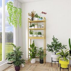 a room filled with lots of potted plants next to a window and wooden floor