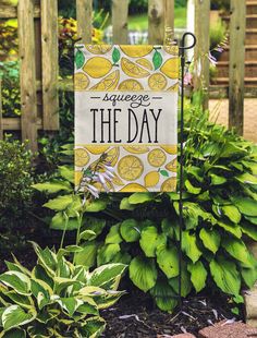 there is a sign that says squeeze the day in front of some flowers and plants