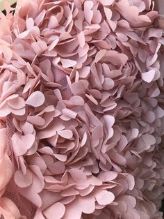 a close up view of a pink flower with many petals on it's side