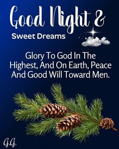 a christmas card with pine cones and the words, good night 2 sweet dreams glory to god in the highest, and on earth peace and good will toward men