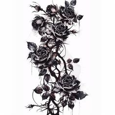 black and white drawing of roses with leaves on it's stems, against a white background