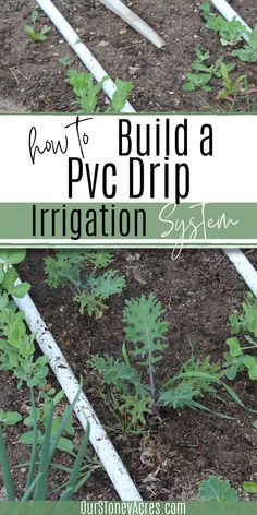 how to build a pyc drip irrigation system in the garden with text overlay