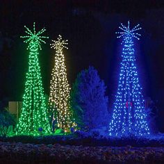 christmas trees are lit up in different colors