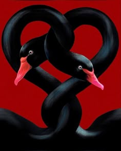 two black birds with pink beaks are intertwined in the shape of a heart