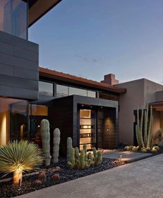 a modern home with cactus and cacti in the front yard