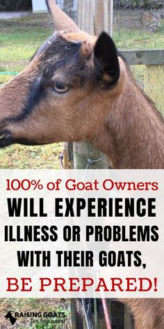 a goat looking over a fence with the words, 100 % of goat owners will experience stillness or problems with their goats, be prepared