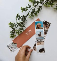 a person holding an envelope with photos on it next to a plant and some cards