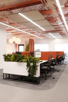 an office with plants in the middle of the desks and on the ceiling is a planter