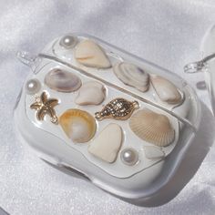 shells and starfish in a clear case on a white surface