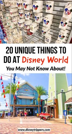 disneyland world with the words 20 unique things to do at disney world you may not know about