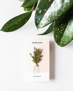 a brooch with a plant on it sitting next to a leafy green plant