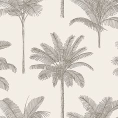 Taj Beige Palm Trees Wallpaper from Design Department by Brewster Cool White Backgrounds, Palm Trees Wallpaper, Trees Wallpaper, Feather Wallpaper, Wallpaper For Sale, Drops Patterns, Tropical Wallpaper, Design Department, Tree Wallpaper