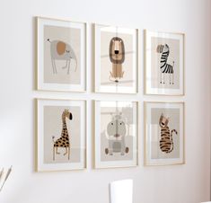 four framed animal pictures hang on the wall