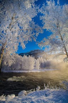 the snow covered trees are blowing in the wind and mist on the river bank, with mountains in the distance