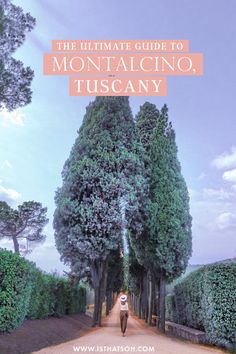 the ultimate guide to montacino, tuscany