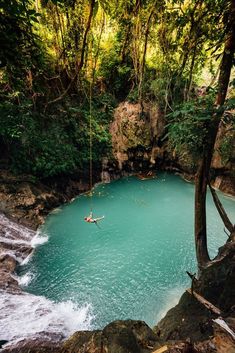 a man is in the middle of a body of water with some trees around him