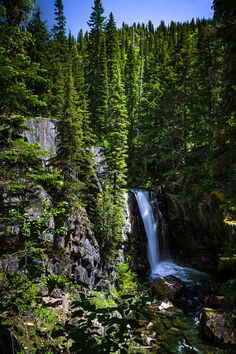 a waterfall in the middle of a forest filled with lots of green plants and trees