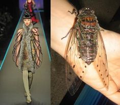 two pictures of people with insect wings on their hands