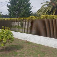 a small tree sitting in front of a fenced area with trees and bushes behind it