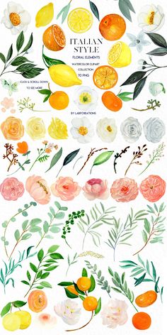 watercolor flowers and oranges are shown in this illustration, with the words italian style written