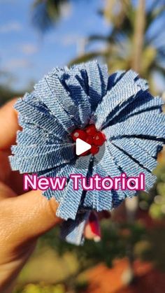 a hand holding a small blue flower with a red center