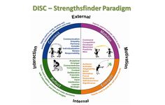 the disc - strength mind map