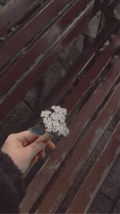 a person is holding a bunch of flowers on a bench in the rain, with snow flakes all over them