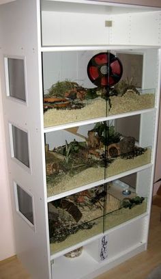 a book shelf filled with lots of different types of animals and plants on top of it