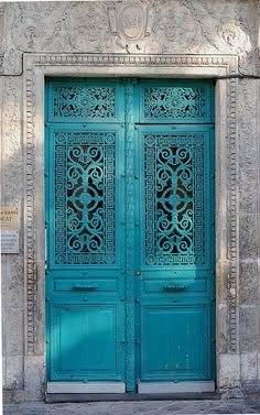 two blue doors with intricate carvings on them