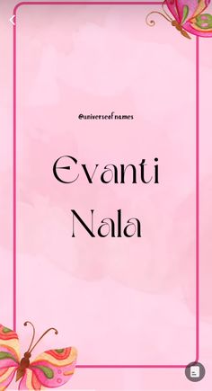 a pink frame with butterflies on it and the words evanti naala written in black