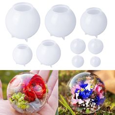 there are many different types of flowers in the glass ball