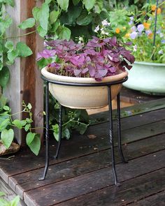 a potted planter sitting on top of a wooden table next to a garden