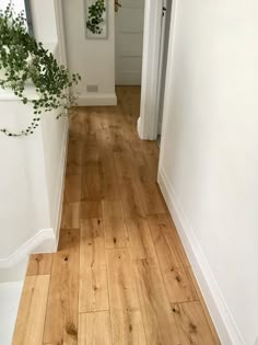 the hallway is clean and ready to be used as a place for plants or flowers