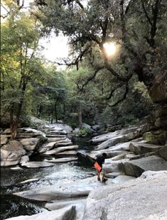 a person standing on top of a rock covered river next to a forest filled with trees