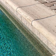 a bird sitting on the edge of a pool with blue water in front of it