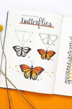 an open book with pictures of butterflies on it and the title how to draw butterfly butterflies