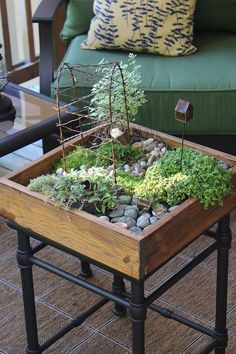 a planter filled with rocks and plants on top of a table next to a couch